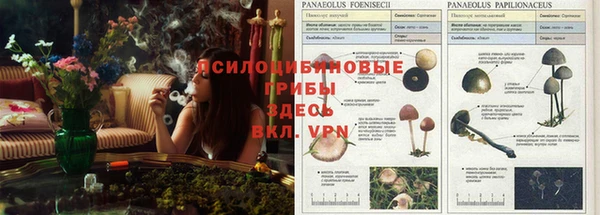 мяу мяу мука Лиски