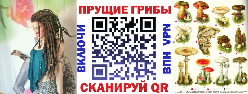 Псилоцибиновые грибы прущие грибы  Киржач 