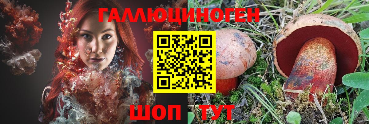 Киржач  Псилоцибиновые грибы GOLDEN TEACHER  Вход с VPN 